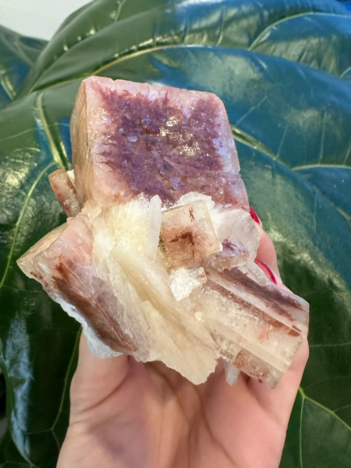 Red Apophyllite Cube (XL) from Pune, India