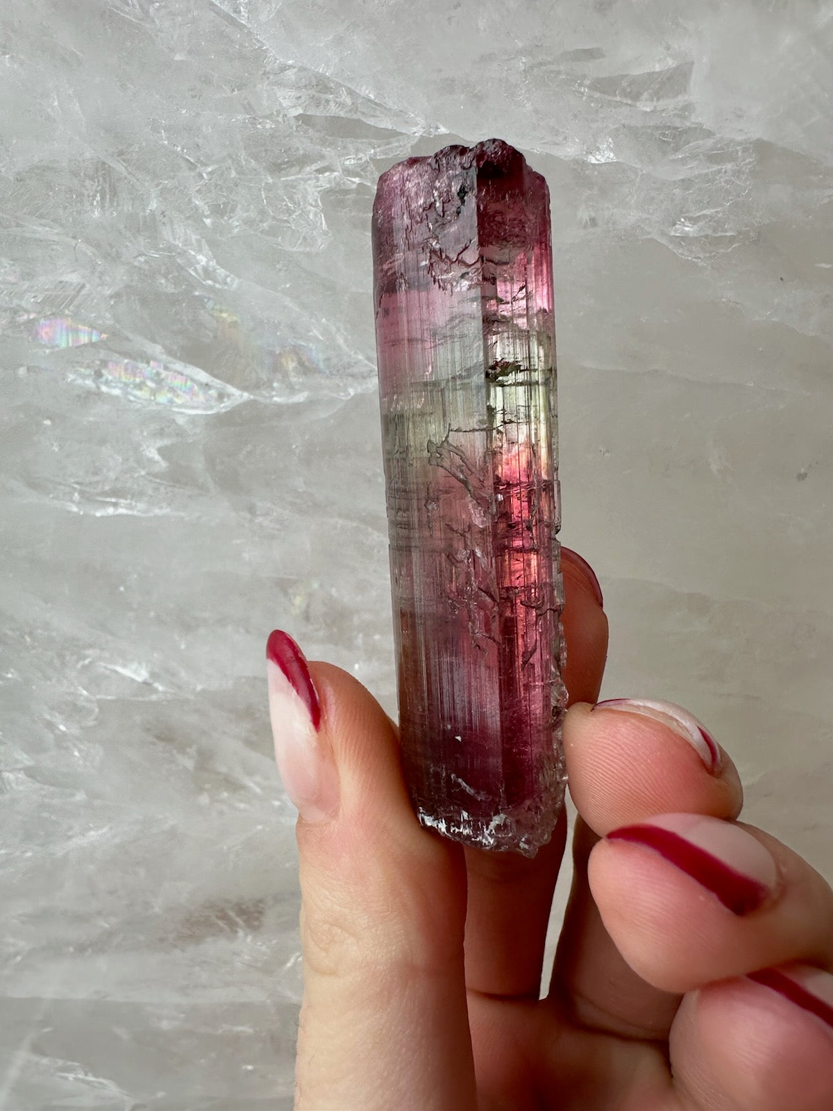 Watermelon Tourmaline from Brazil