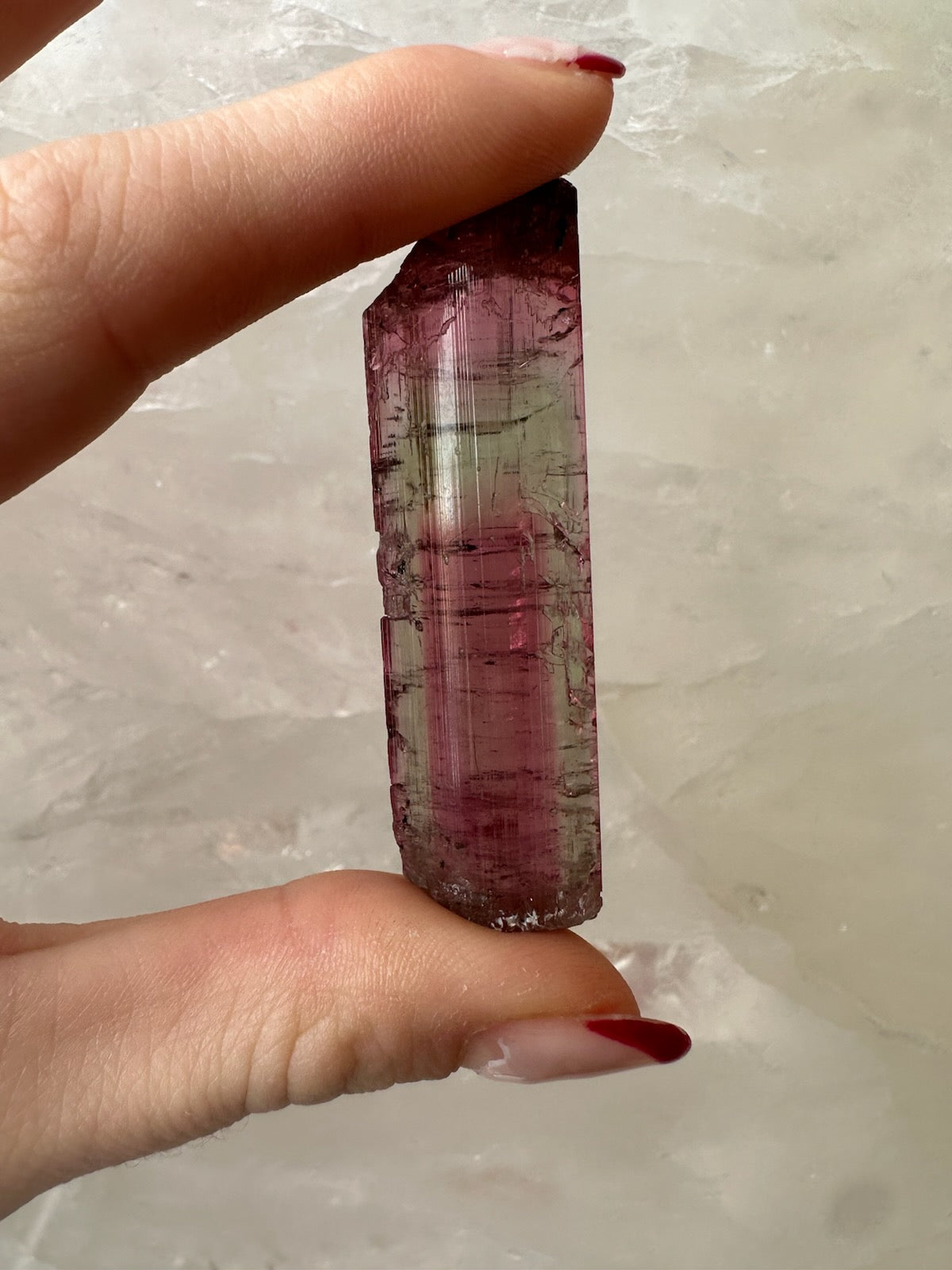 Watermelon Tourmaline from Brazil