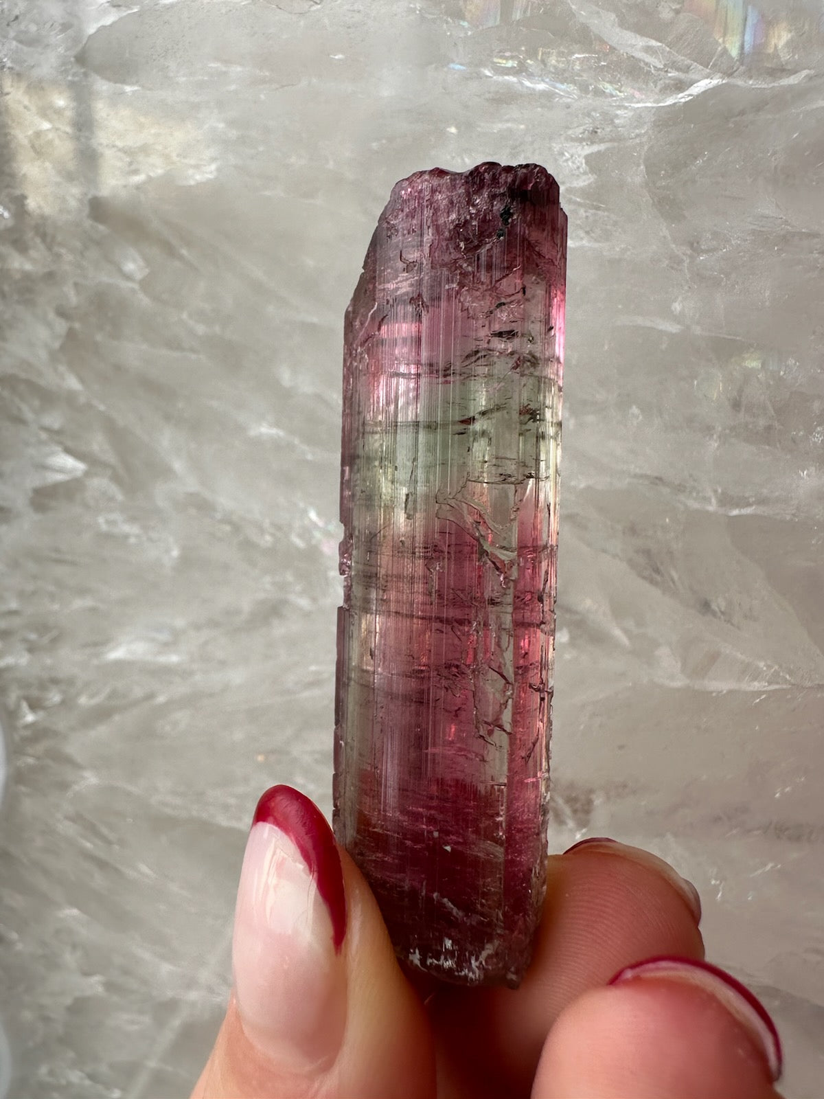 Watermelon Tourmaline from Brazil