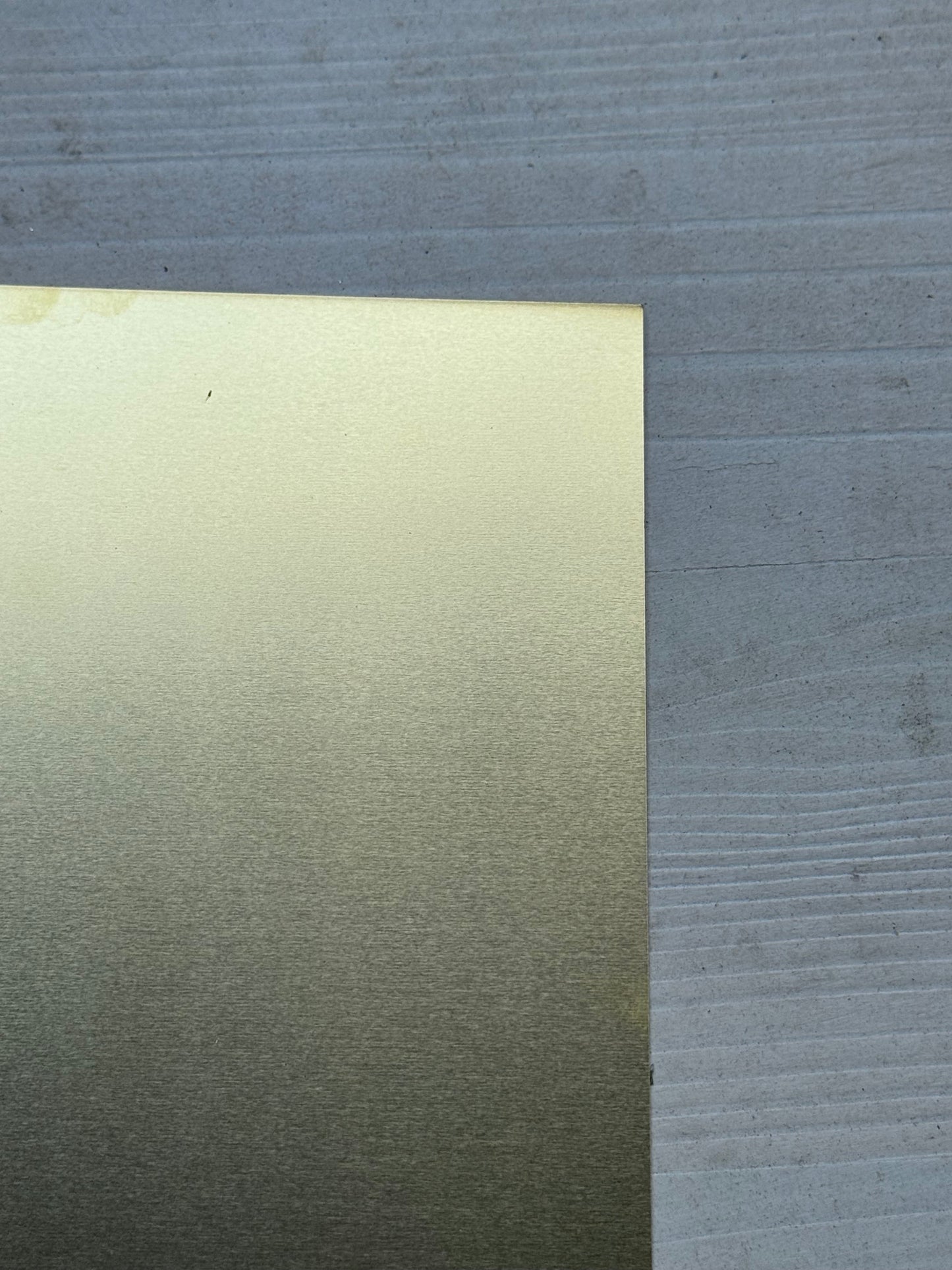 Handmade Surreal Eye Earrings: Plant Eyelash Design