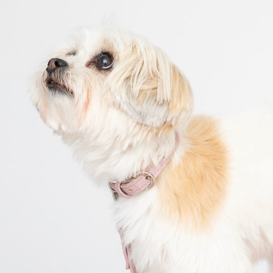 Love Pink Cork Leather Collar