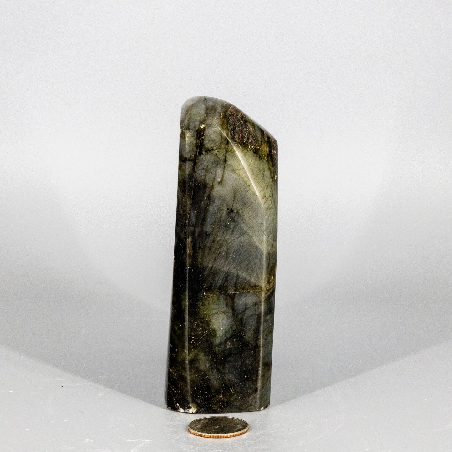 Labradorite  "XL" Freestanding Freeform
