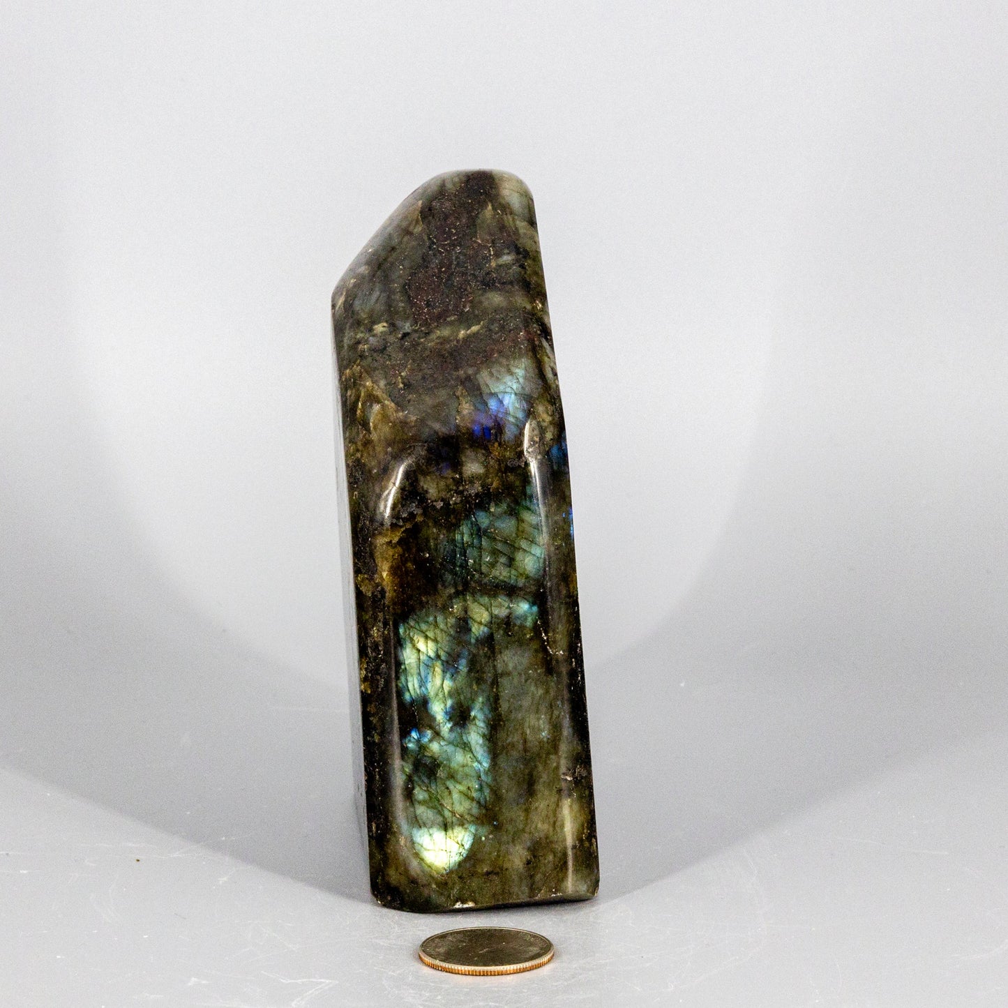 Labradorite  "XL" Freestanding Freeform