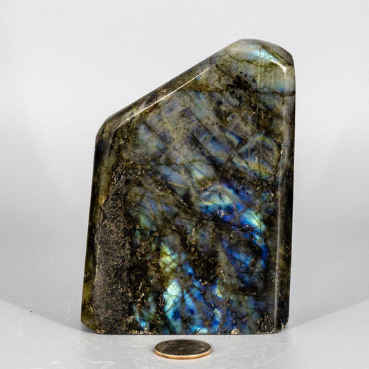 Labradorite  "XL" Freestanding Freeform
