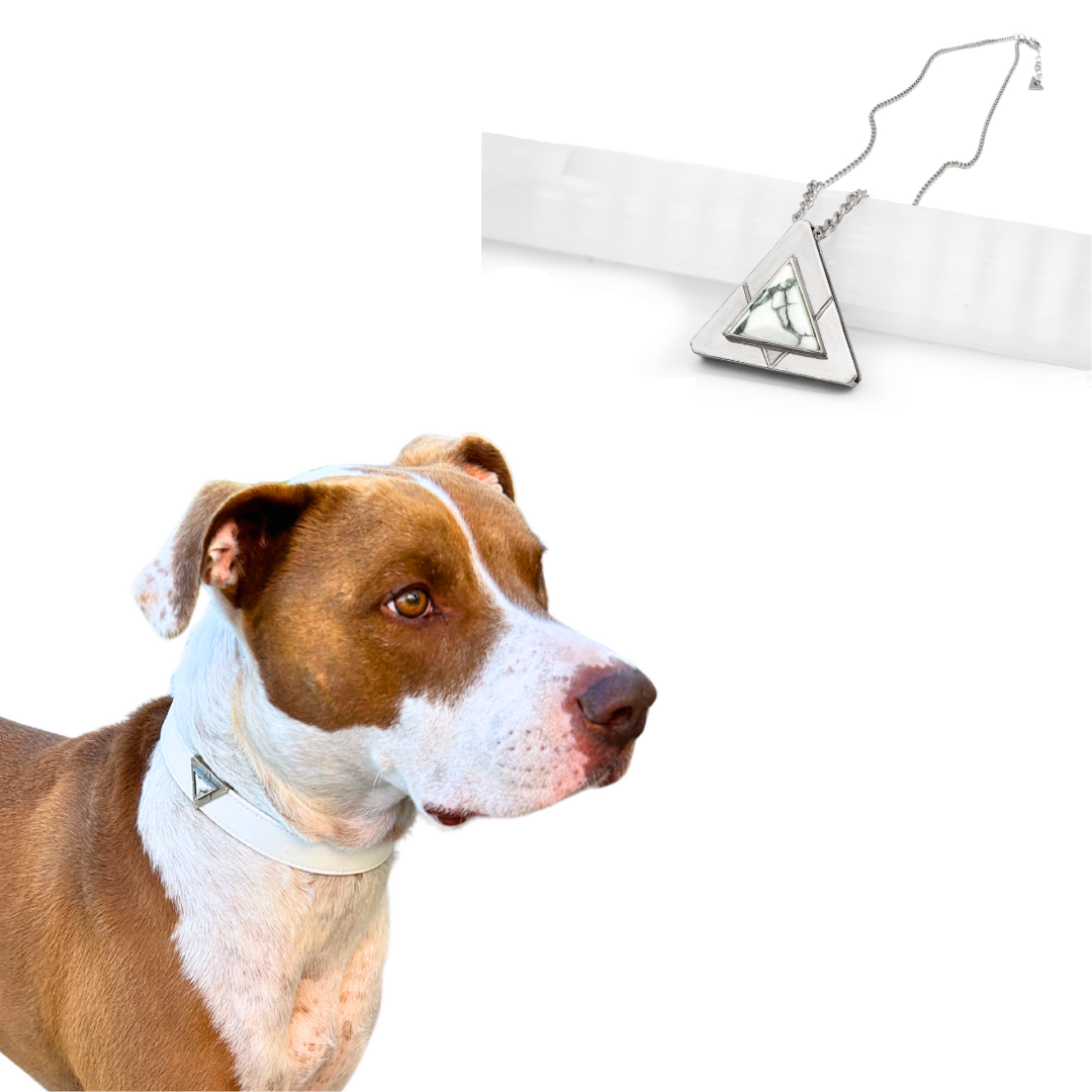 Starlight Howl Match Your Pet Gift Box Set