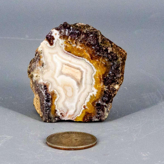 Moroccan Agate Crystal Geode Slice Polished Display