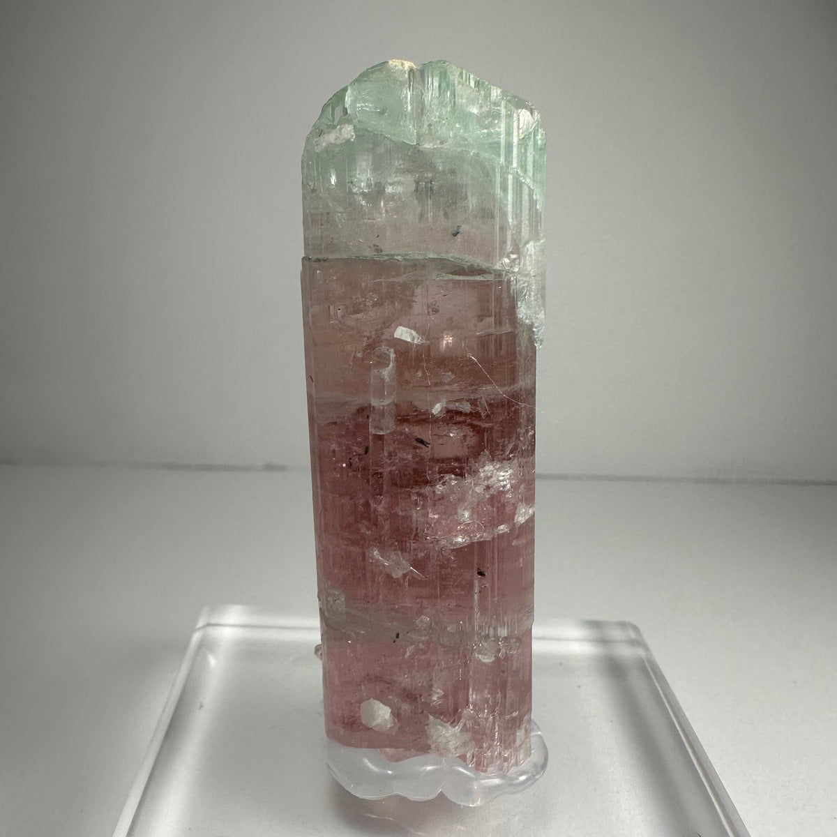 Watermelon Tourmaline