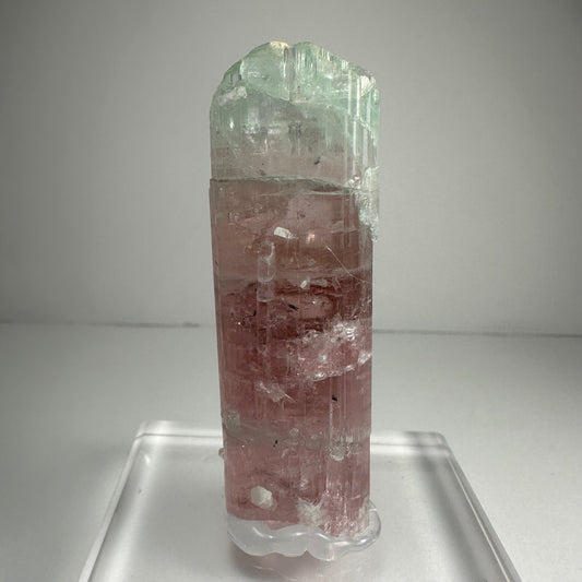 Watermelon Tourmaline