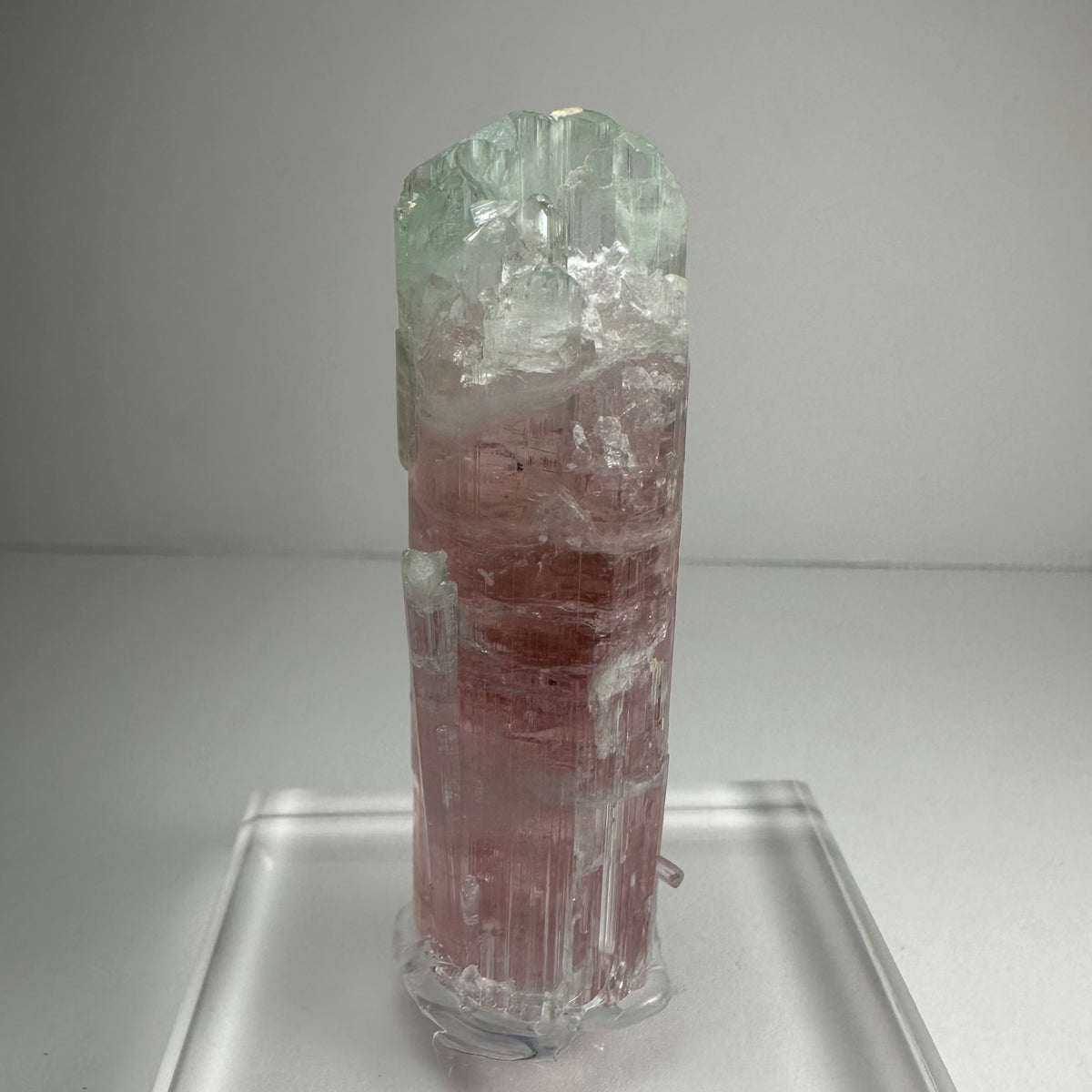 Watermelon Tourmaline