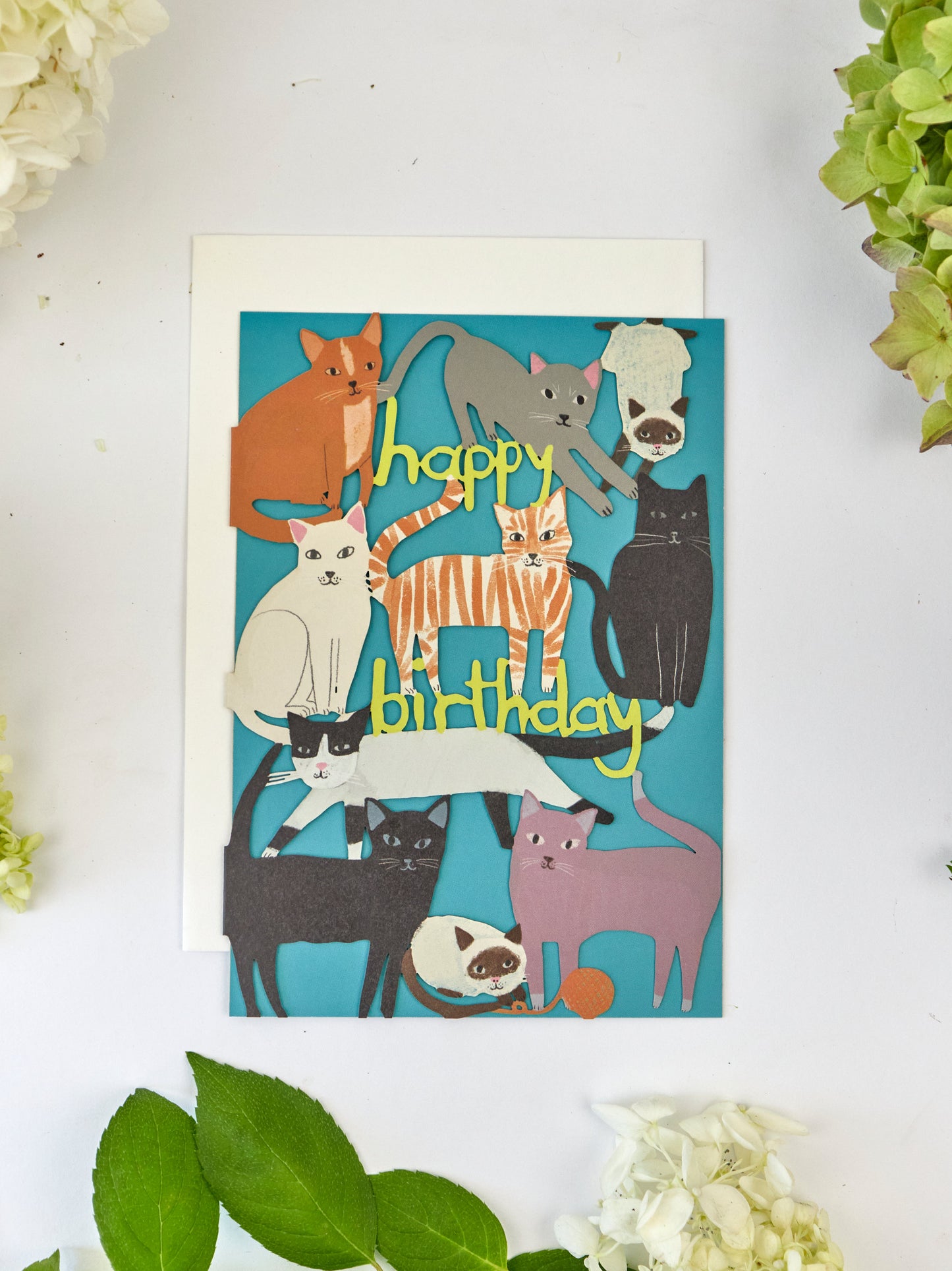 Playful Cats Lasercut  Birthday Card