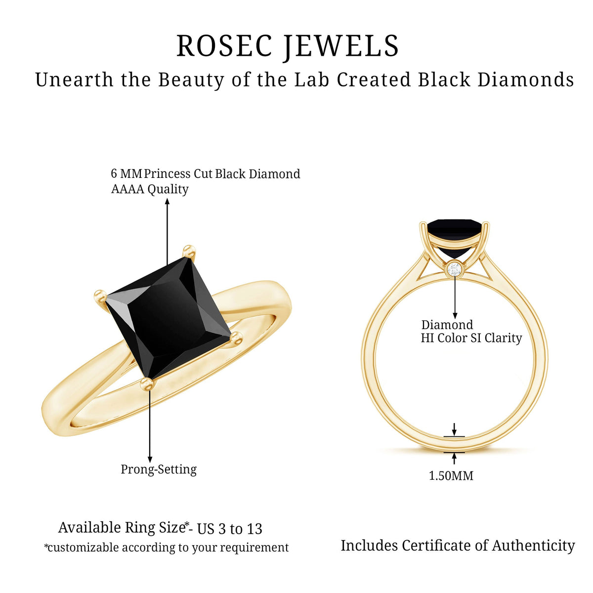 1 Carat Princess Cut Lab Grown Black Diamond Engagement Ring with Surprise White Diamond