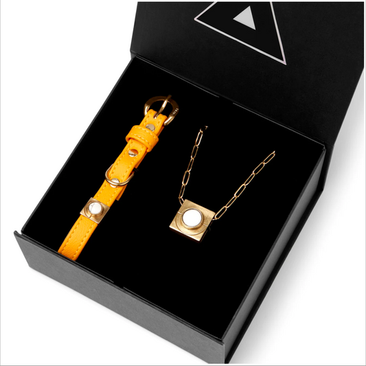 Sunflower Howl Match Your Pet Gift Box Set