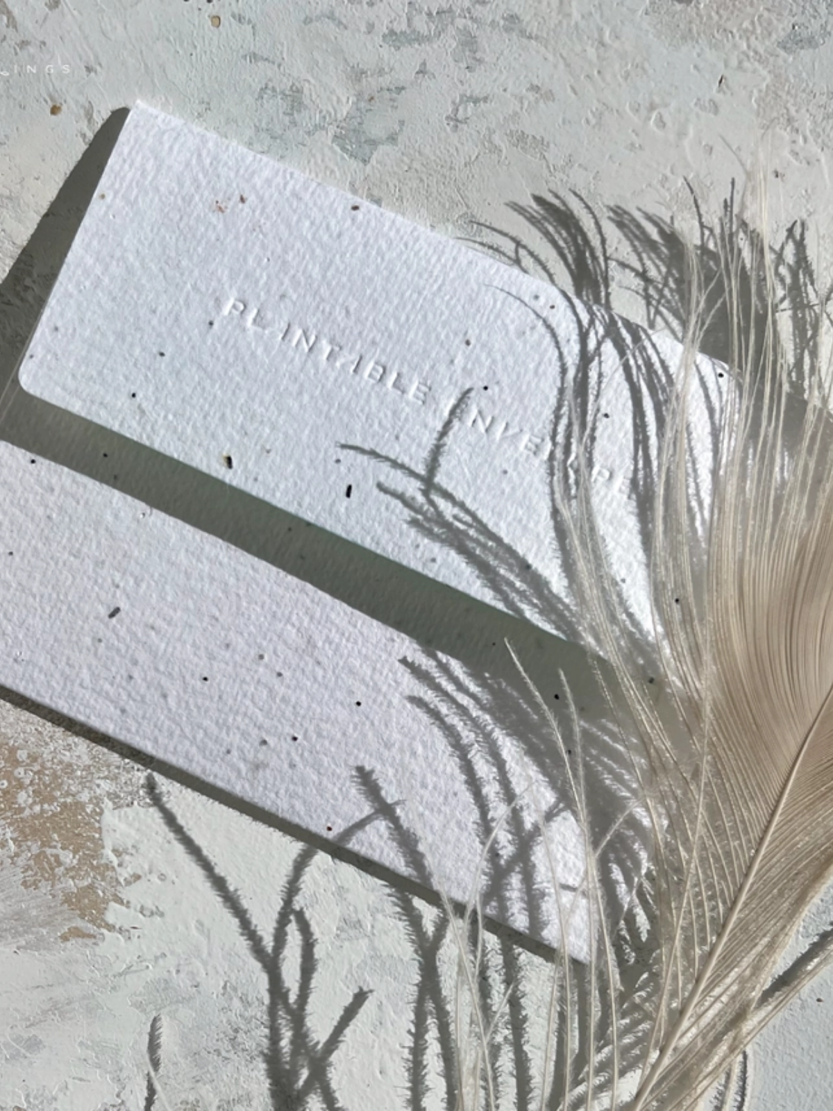 Many Moons - Seeded Birthday Card