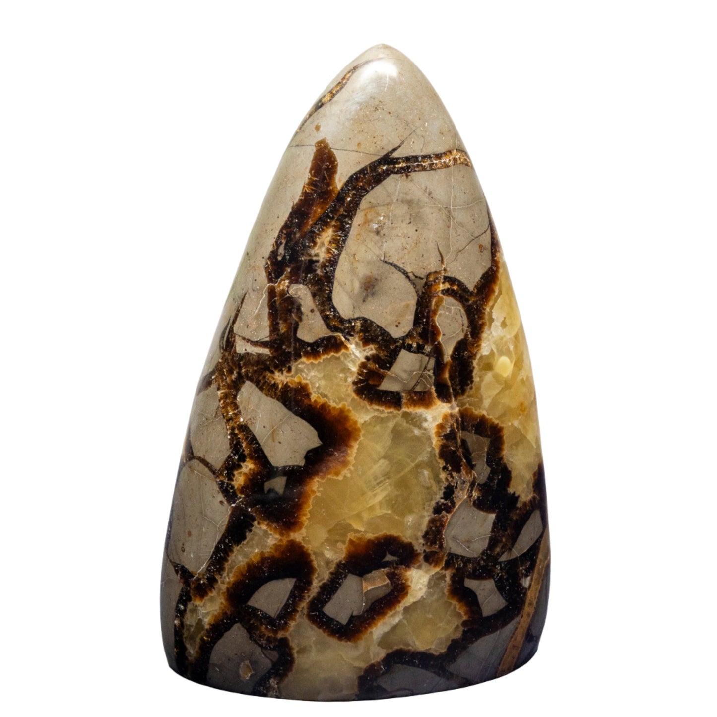 Septarian Stone Freeform