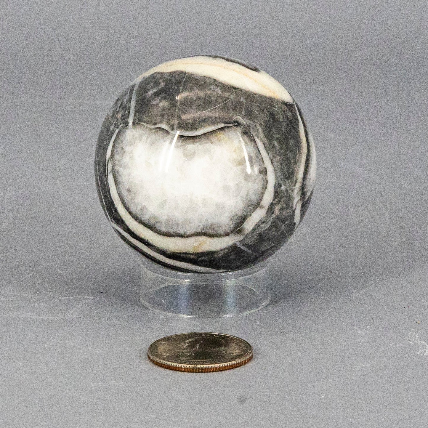 Shell Stone Crystal Sphere 54mm