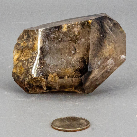 Skeletal Elestial Smoky Quartz Enhydro Point with Huge Bubble