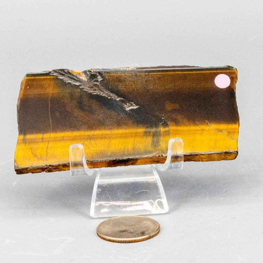 Tiger's Eye Crystal Polished Slice Natural Chatoyant