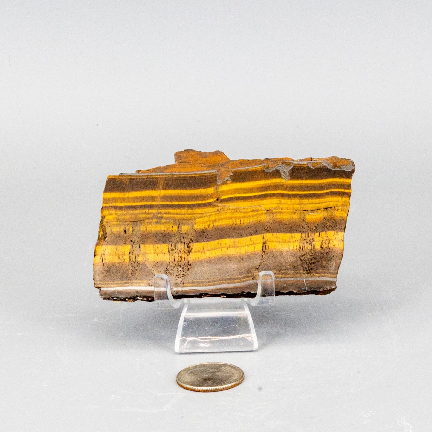 Tiger's Eye Polished Slices, Golden Healing Stone