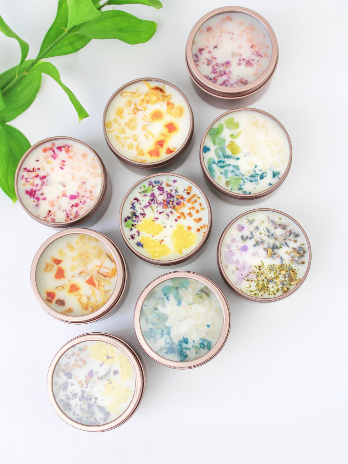 Unlabeled 4 oz Botanical Soy Wax Candles - Party Favors