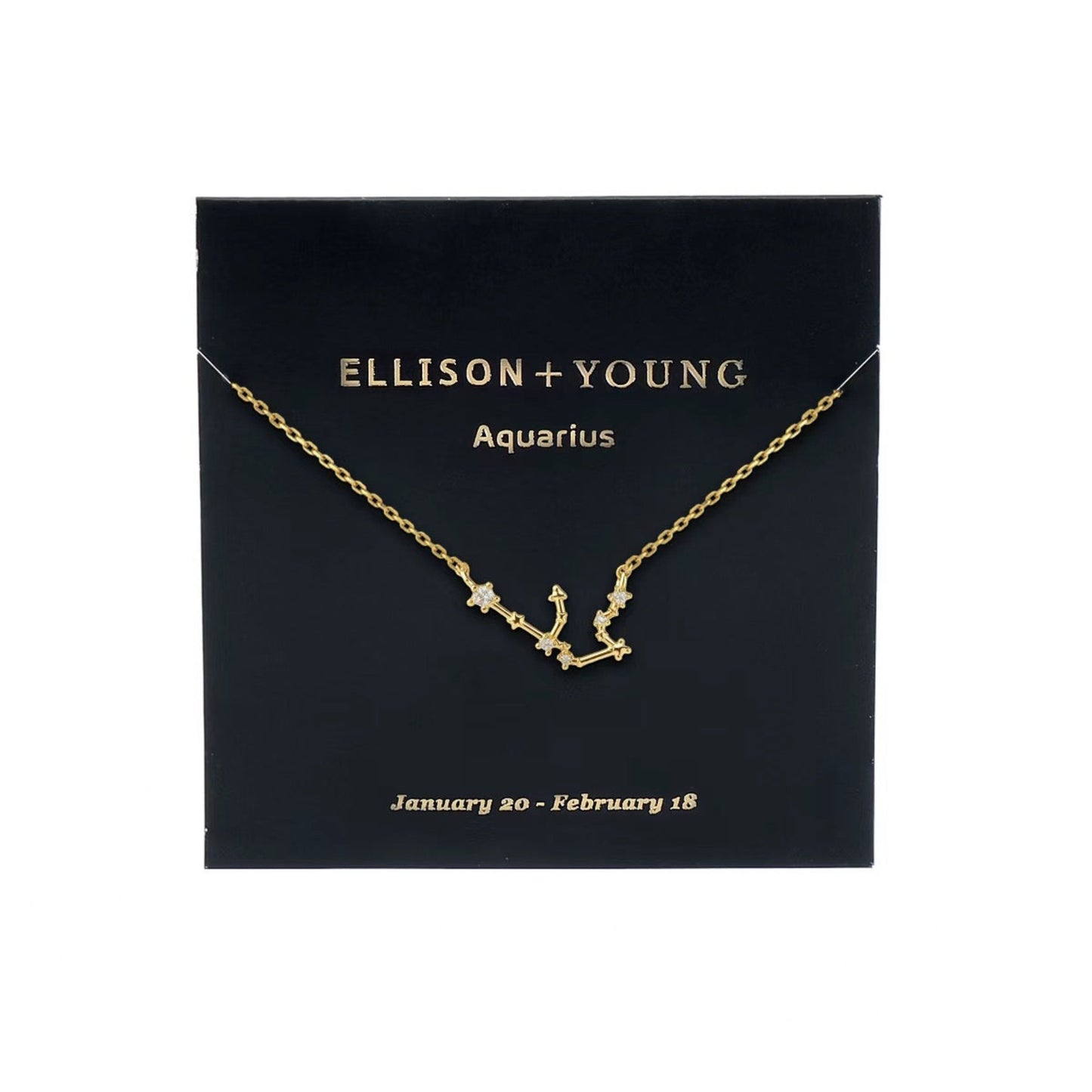Zodiac Collection Necklace
