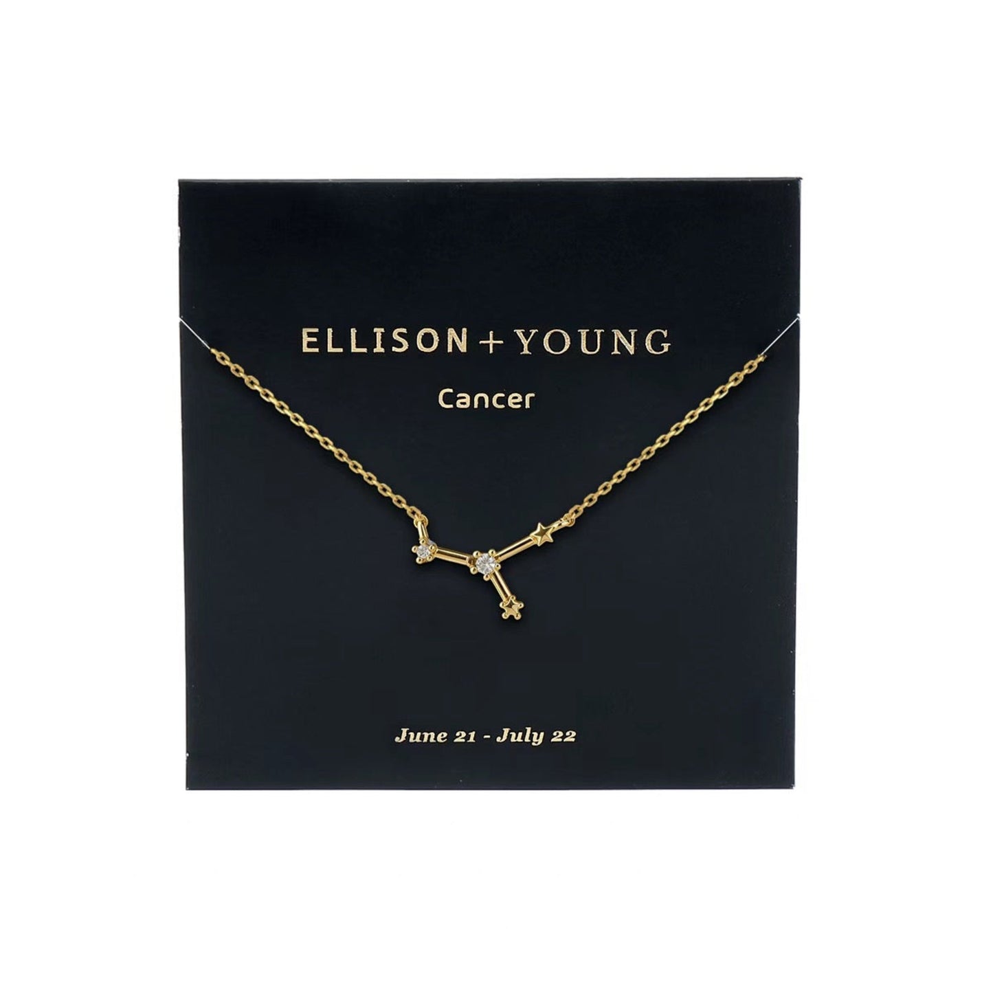Zodiac Collection Necklace