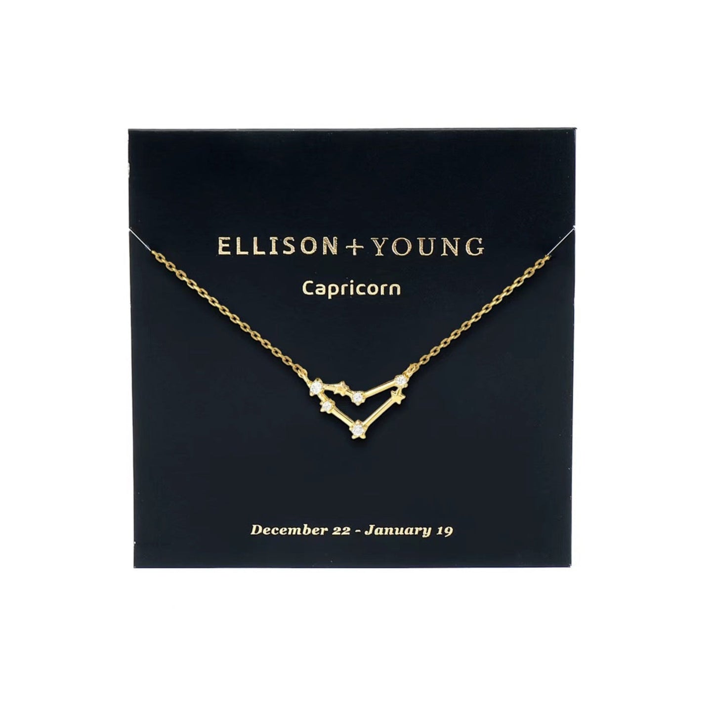 Zodiac Collection Necklace