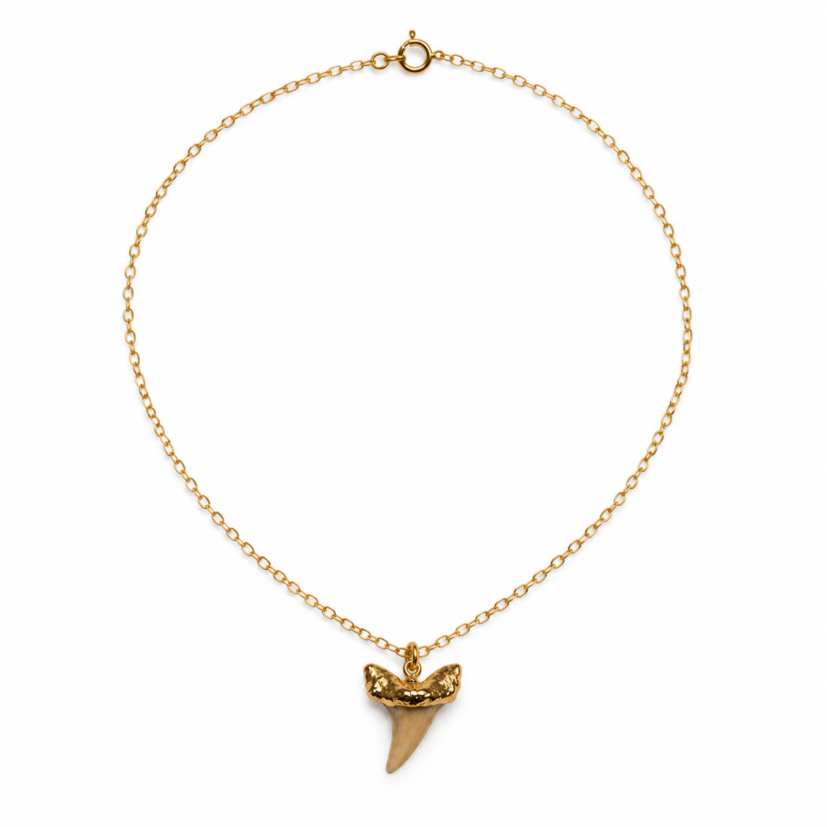 Genuine Shark Tooth Necklace – Gold Filled