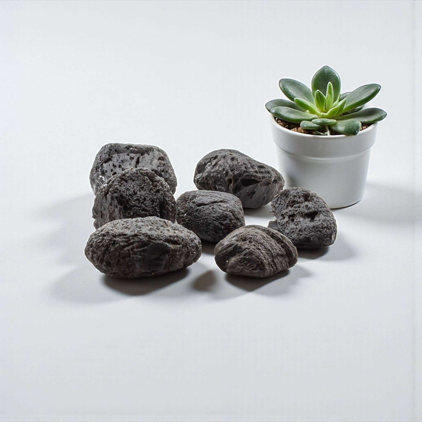 Tektite Rough Large Palm Stone Size Specimen