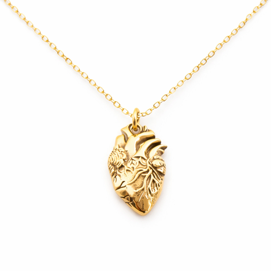 Anatomical Heart Charm 14k Gold Filled Necklace