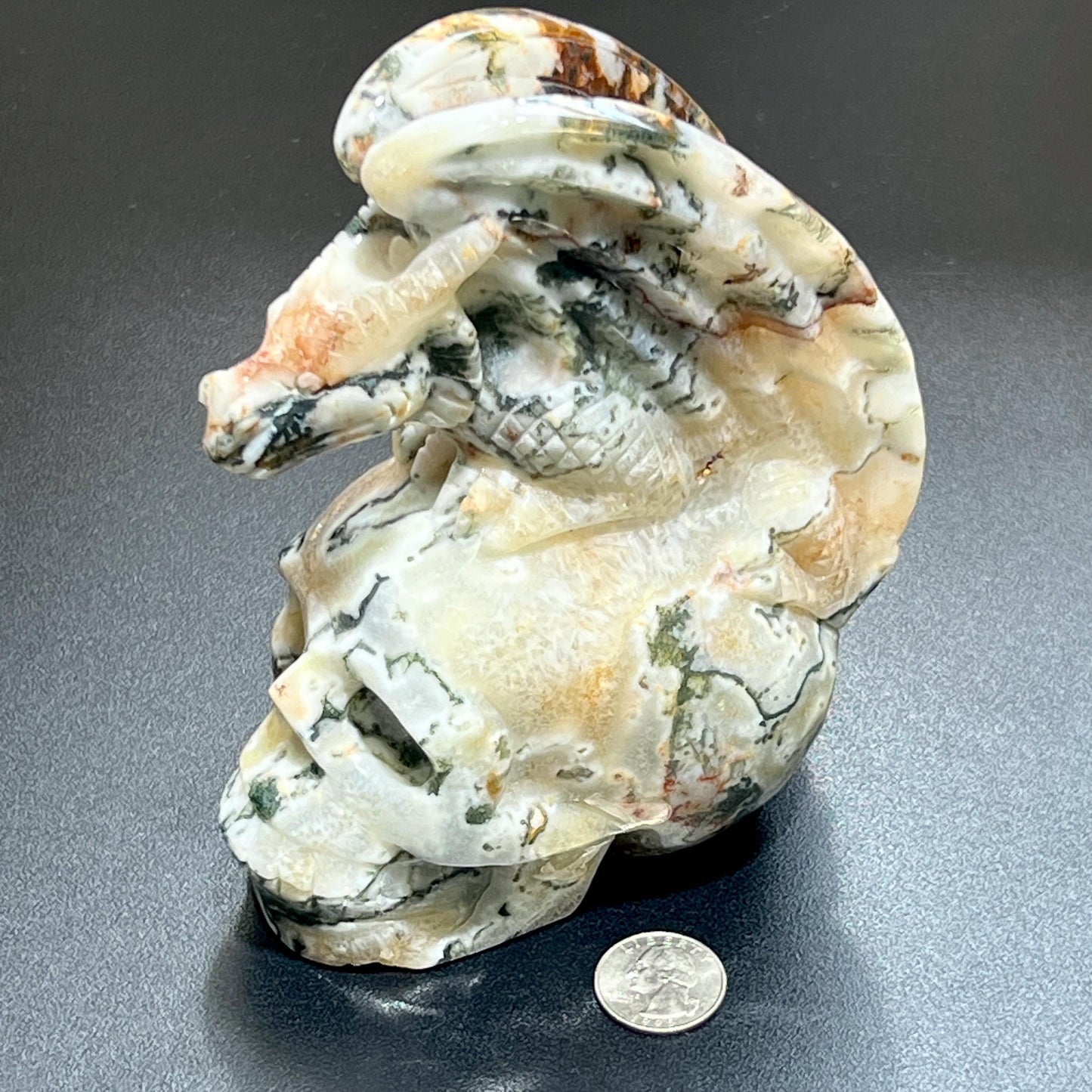 Large Skull and Dragon Carving Red Moss Agate