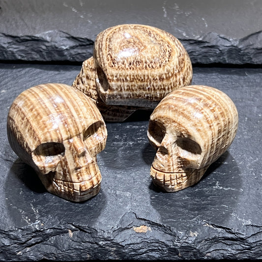 Peruvian Brown Banded Aragonite Skull Carving