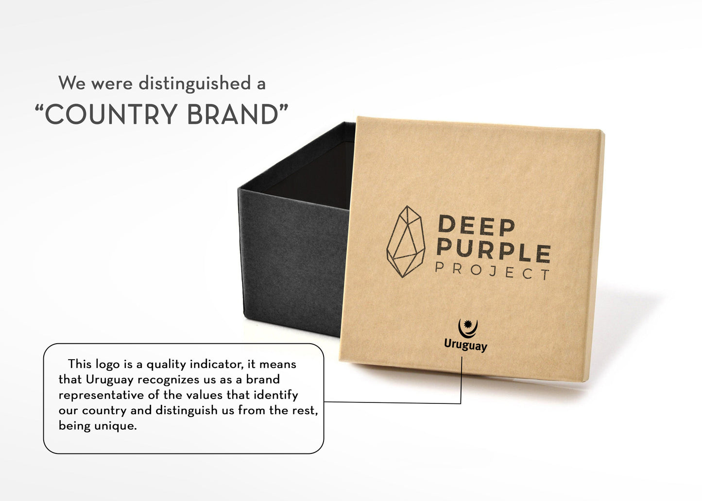 Large amethyst geode with FREE GIFT BOX, Mindfulness gift