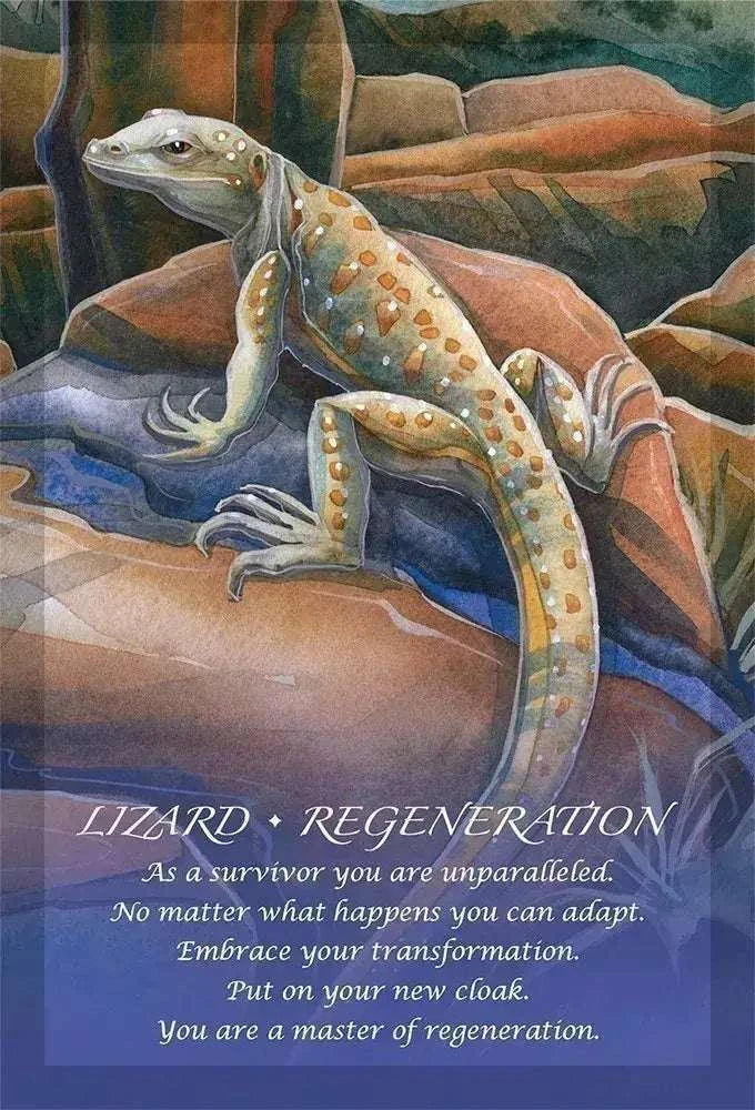 Spirit Of The Animals Oracle Deck