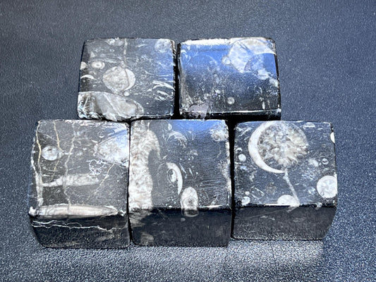Orthoceras Fossil Cube Stone Carving Gemstone Decor Supply Bulk Wholesale