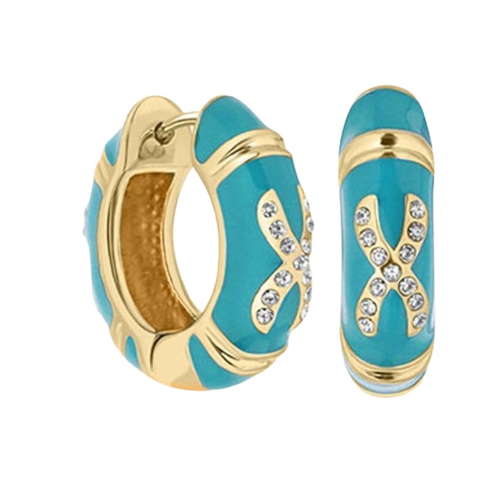 Elegant Hugs Earrings