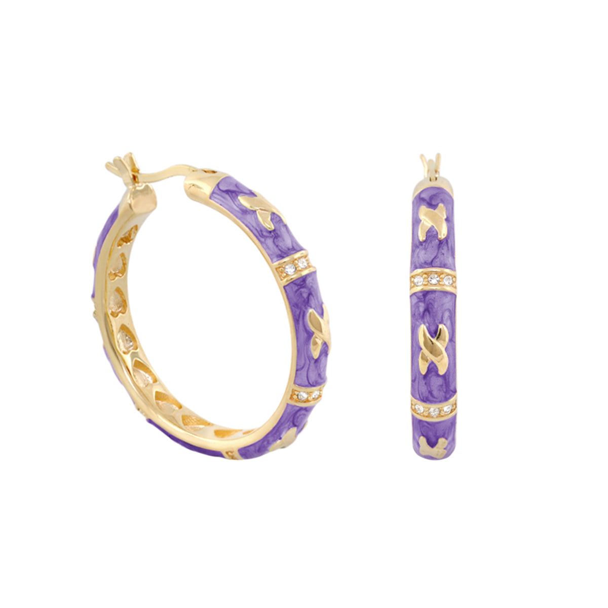 Elegant Hugs Earrings