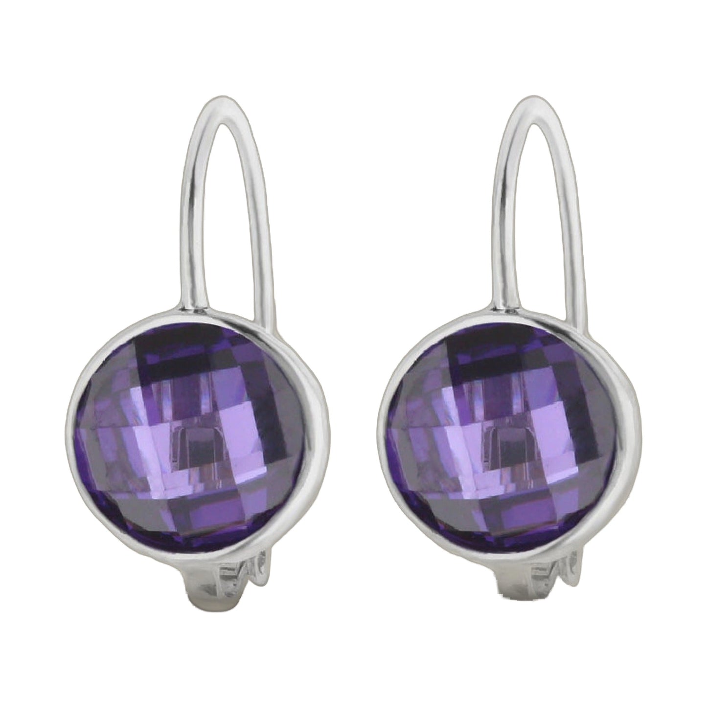 February Birthstone Color Earrings