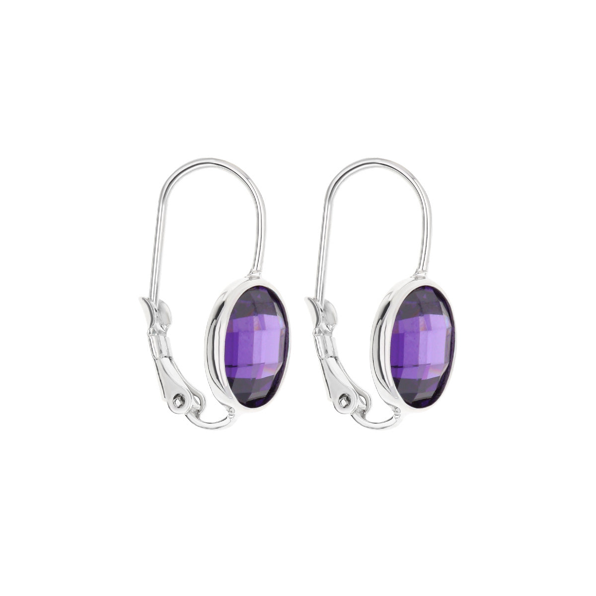 February Birthstone Color Earrings