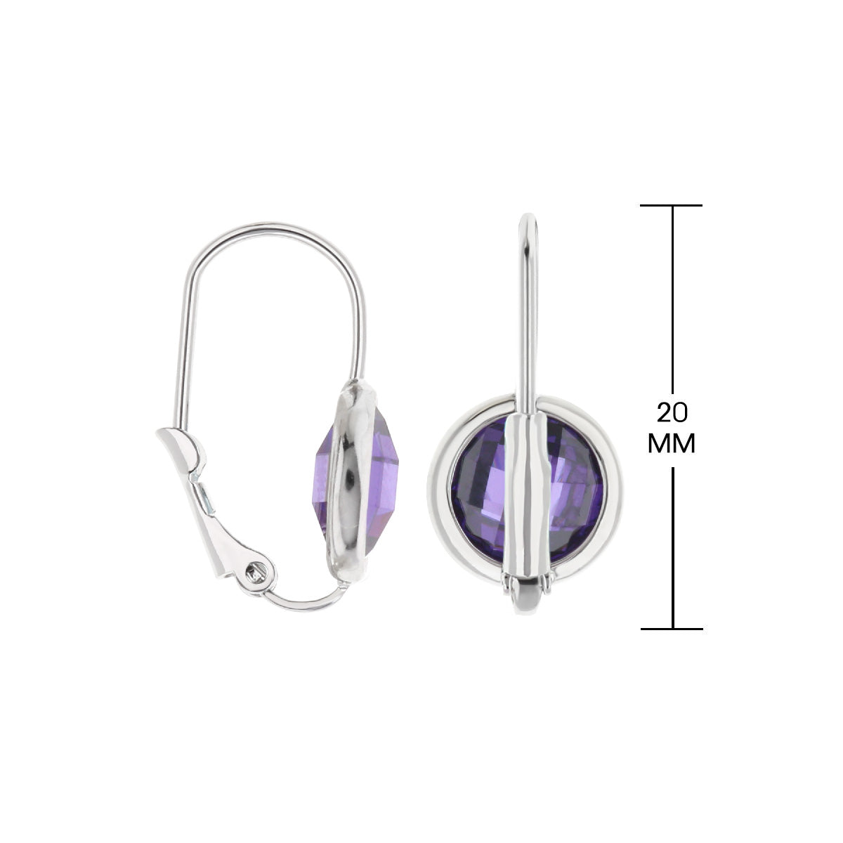 February Birthstone Color Earrings