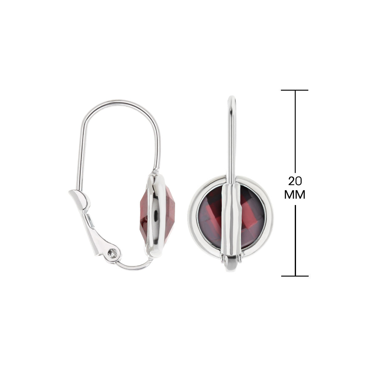 January Birthstone Color Earrings