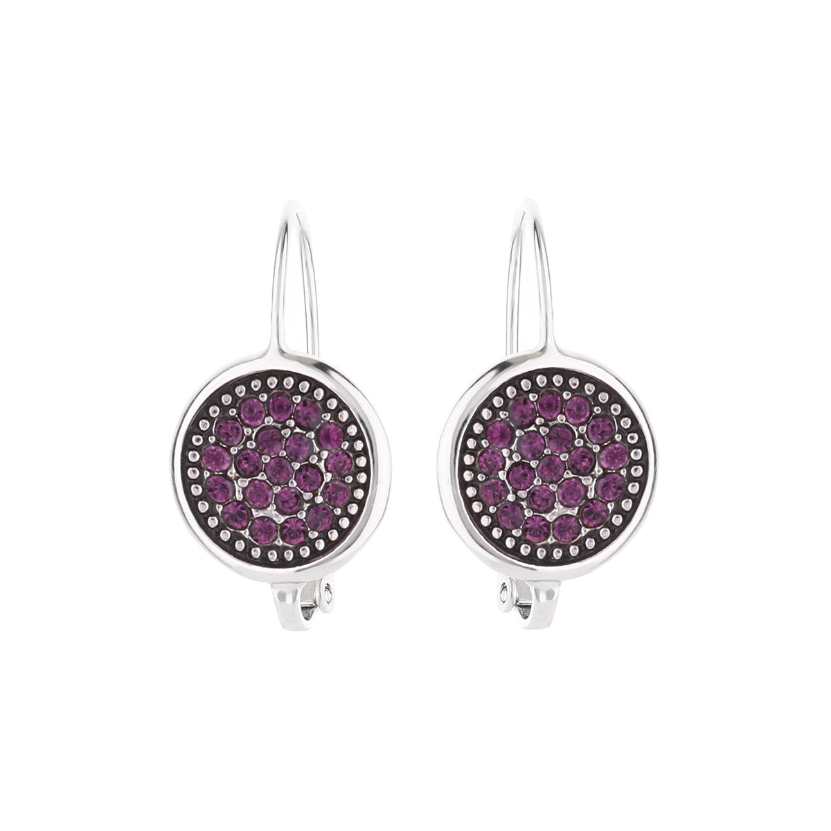 February Birthstone Color Earrings