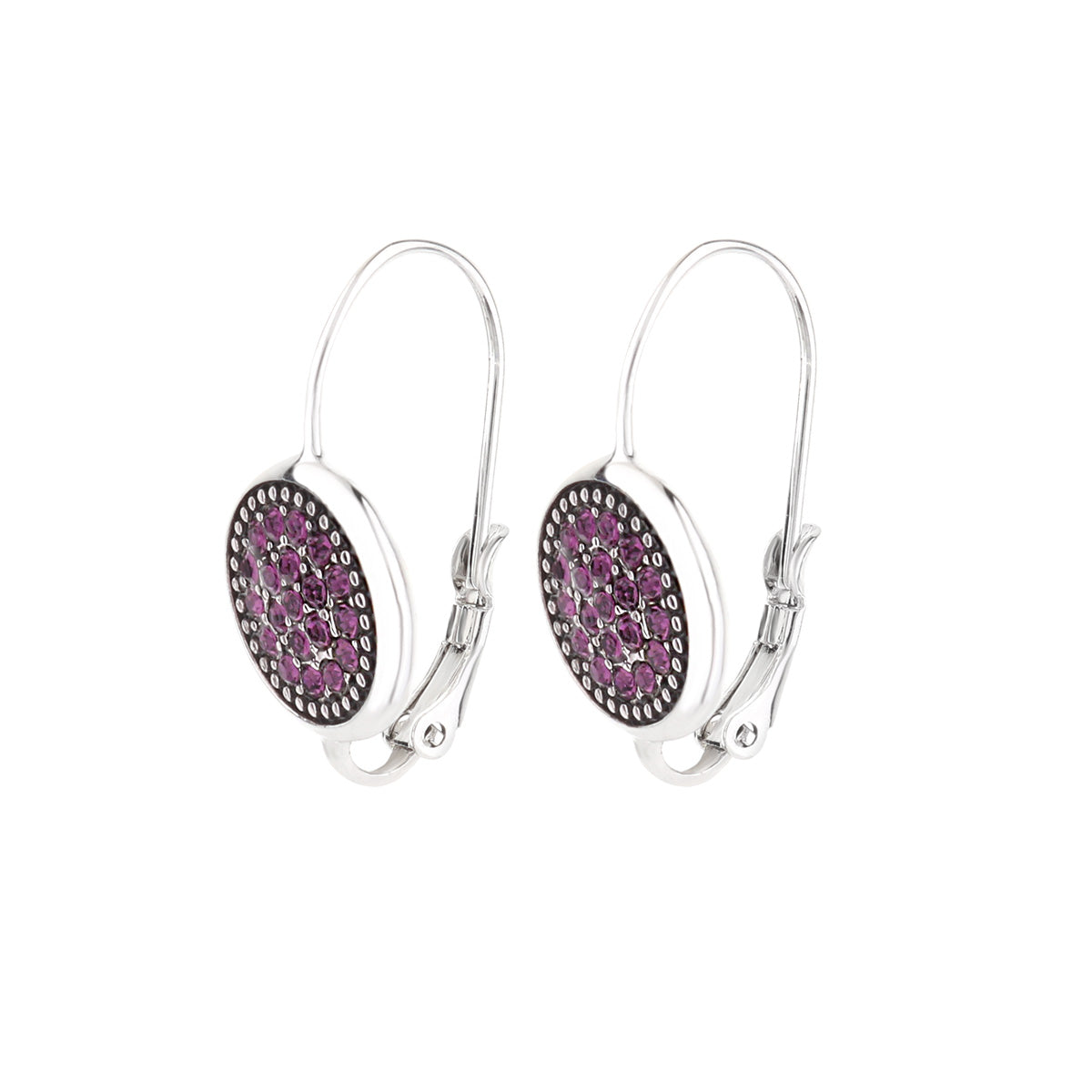 February Birthstone Color Earrings