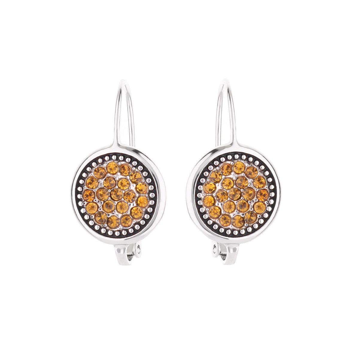 November Birthstone Color Earrings