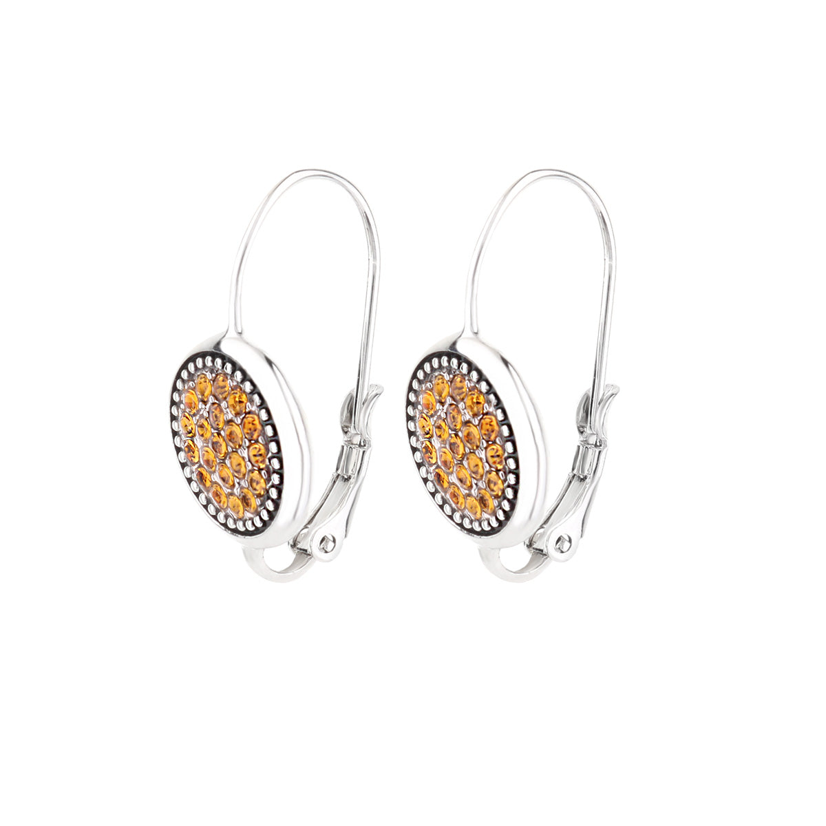 November Birthstone Color Earrings