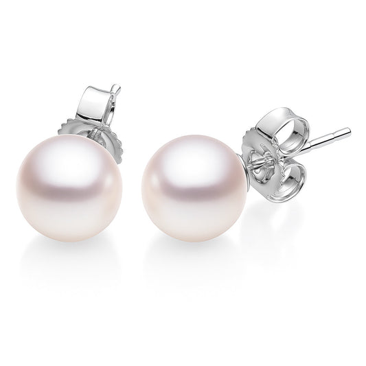 Freshwater Pearl Studs - 12-12.5mm