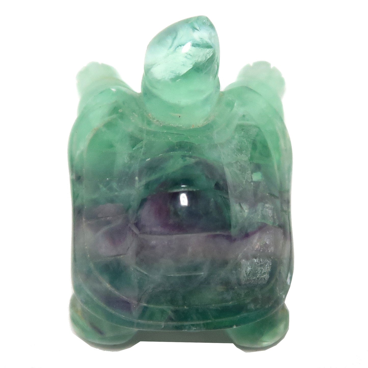 Fluorite Turtle Walk of Rainbow Animal Guardian