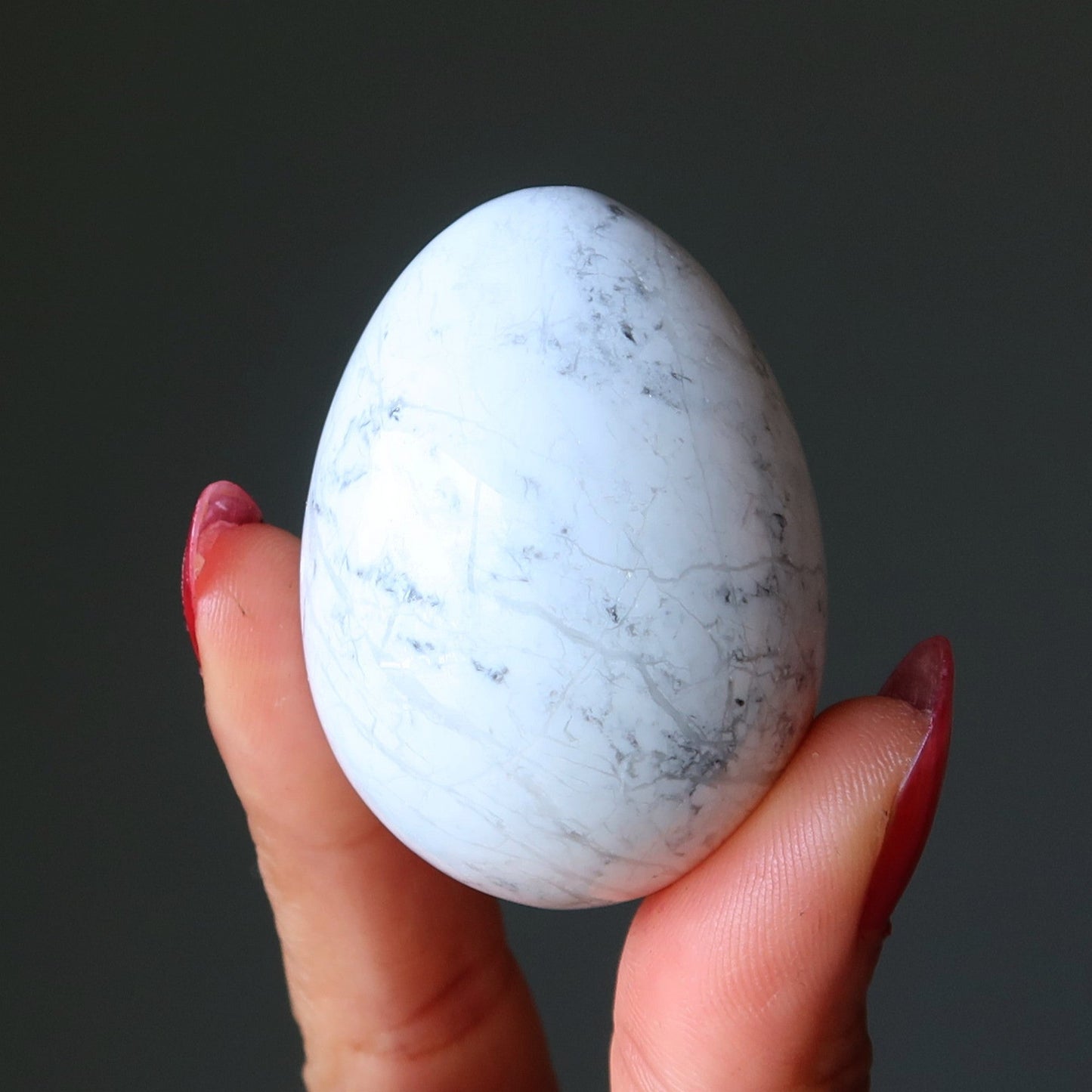 Howlite Egg Whole New World Healthy Habits Stone