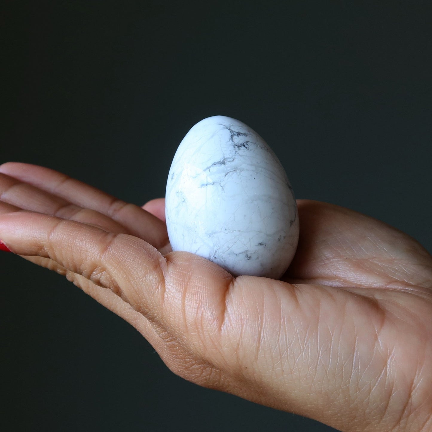 Howlite Egg Whole New World Healthy Habits Stone