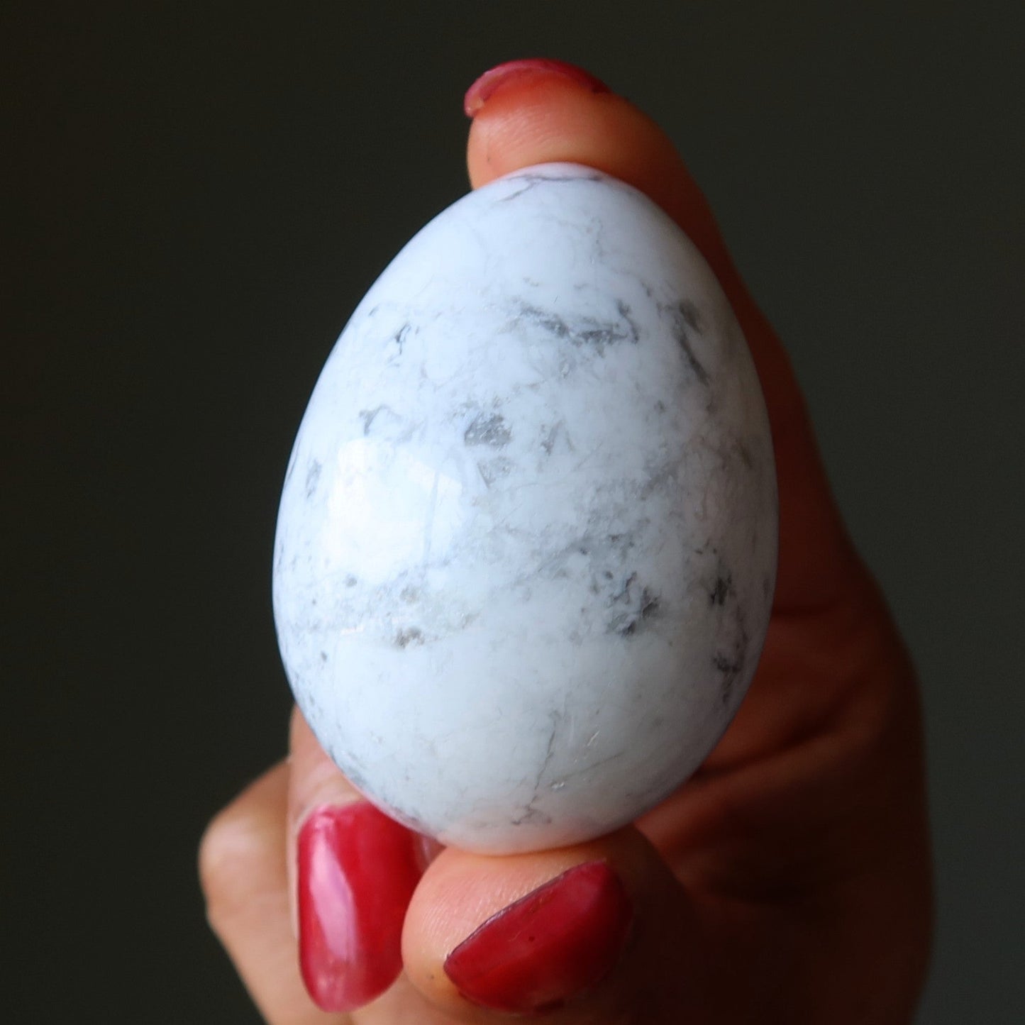 Howlite Egg Whole New World Healthy Habits Stone